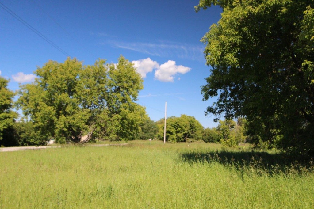 vacant lot for sale Manitoba - Dignam Land