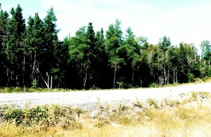 land for sale in Nova Scotia