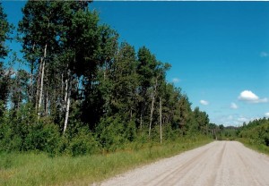 northern ontario vacant land for sale