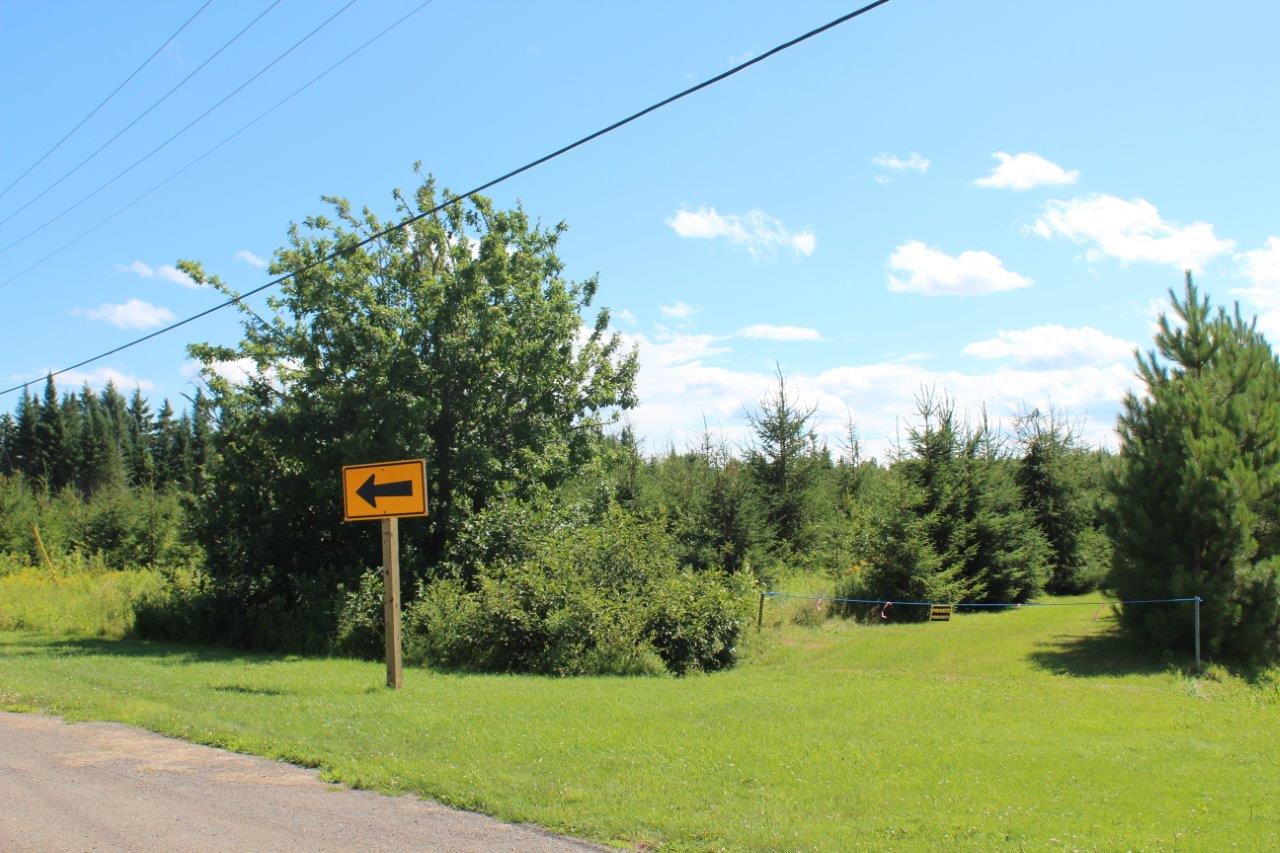 land for sale New Brunswick Dignam Land