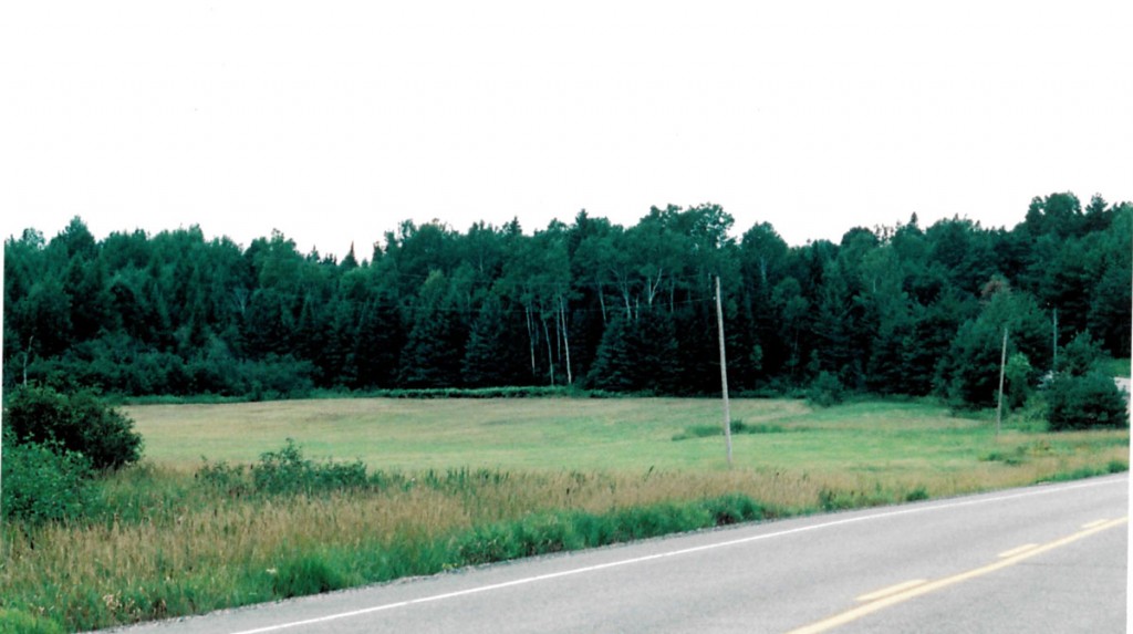 vacantlandforsaleontario Dignam Land Land for Sale in Canada