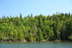 Nova Scotia land for sale with water frontage