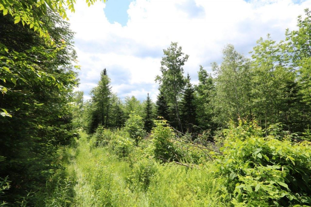 Farm Land For Sale Fredericton at Edith Thomas blog