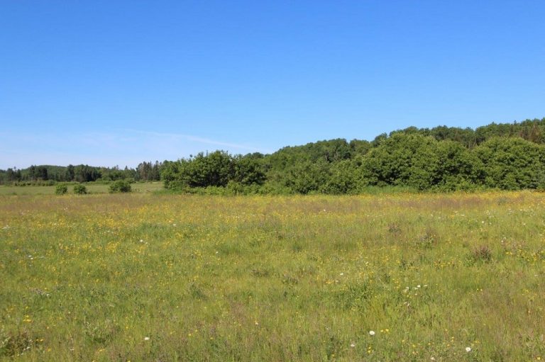 vacant land for sale in Nipissing Ontario - Dignam Land - Land for Sale ...