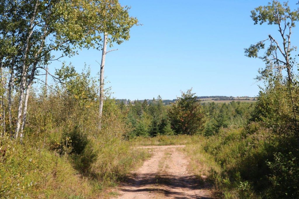 hunting-property-for-sale-Havelock - Dignam Land - Land for Sale in Canada